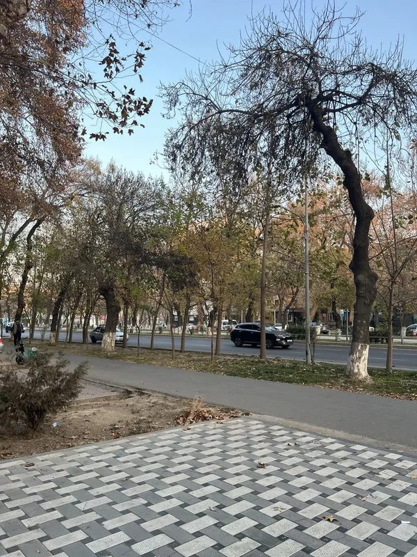 Аренда нежилого помещения без маклера/ Arenda o’zimni joyim — фото 1