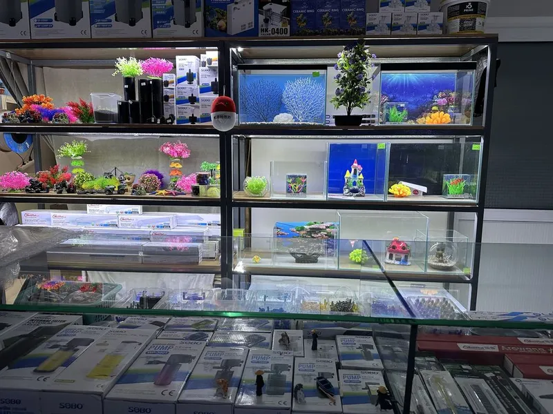 Zoomagazin Bek Aquarium — фото 2