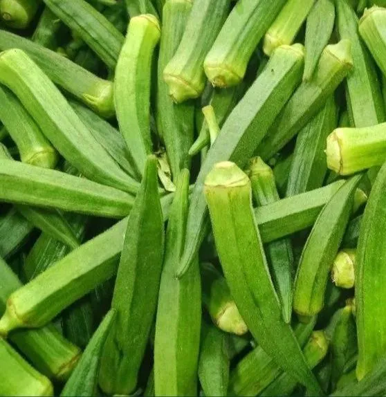 Бамия сотаман. Продам бамию. 1
