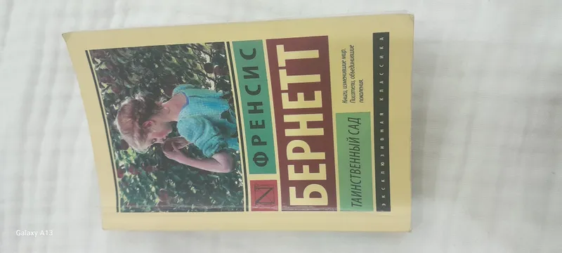 книга Фрэнсис Бернет "Таинственный сад"