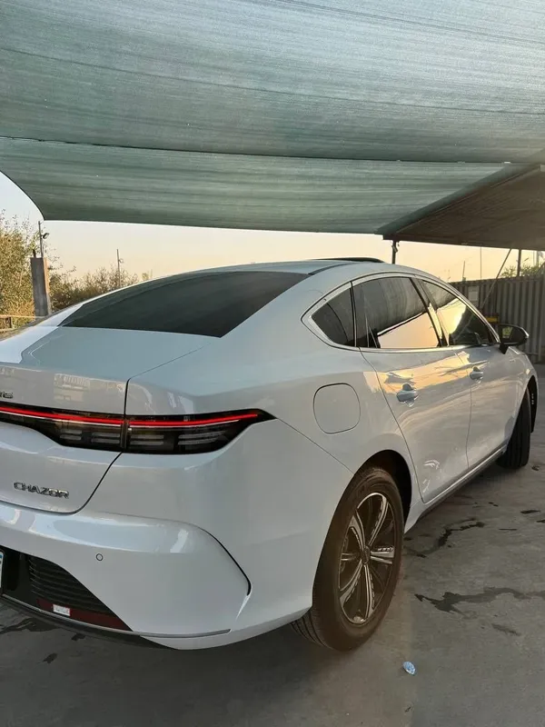 Byd Chazor gibrid 5 Byd Chazor gibrid 5