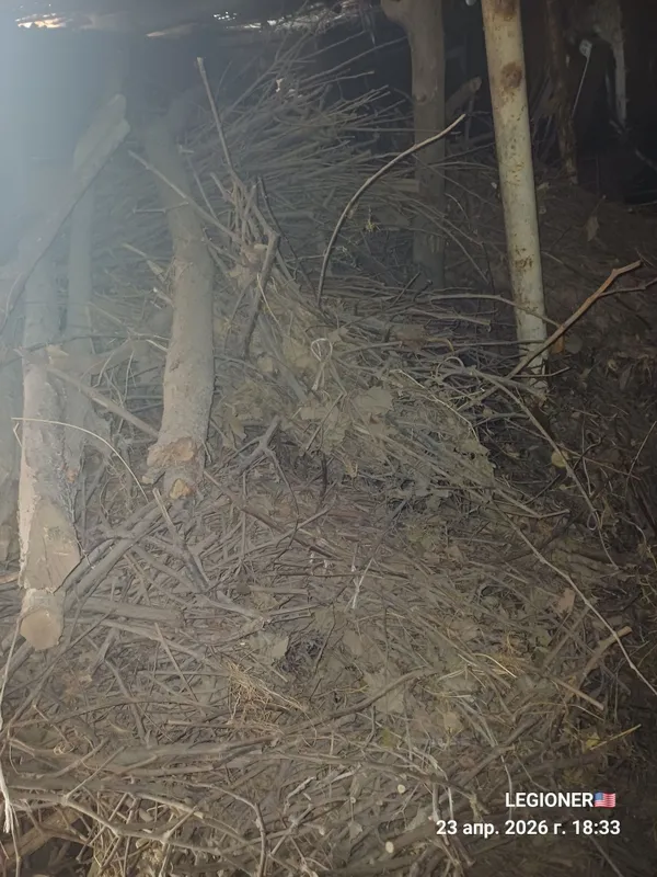 Утин болол енгок болол — фото 1