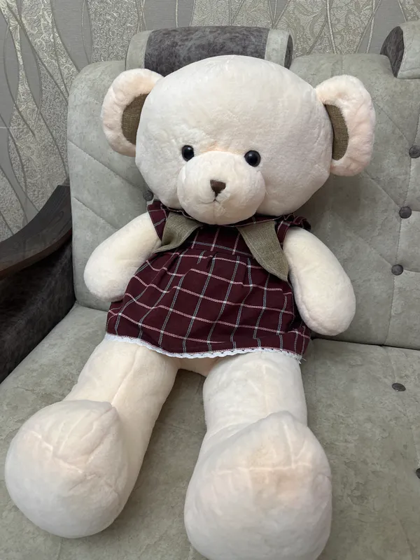 Новая игрушка