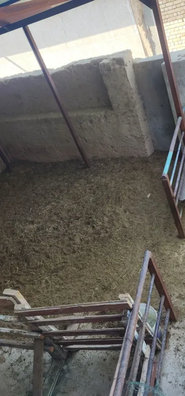 Удобрений куйлар поруси