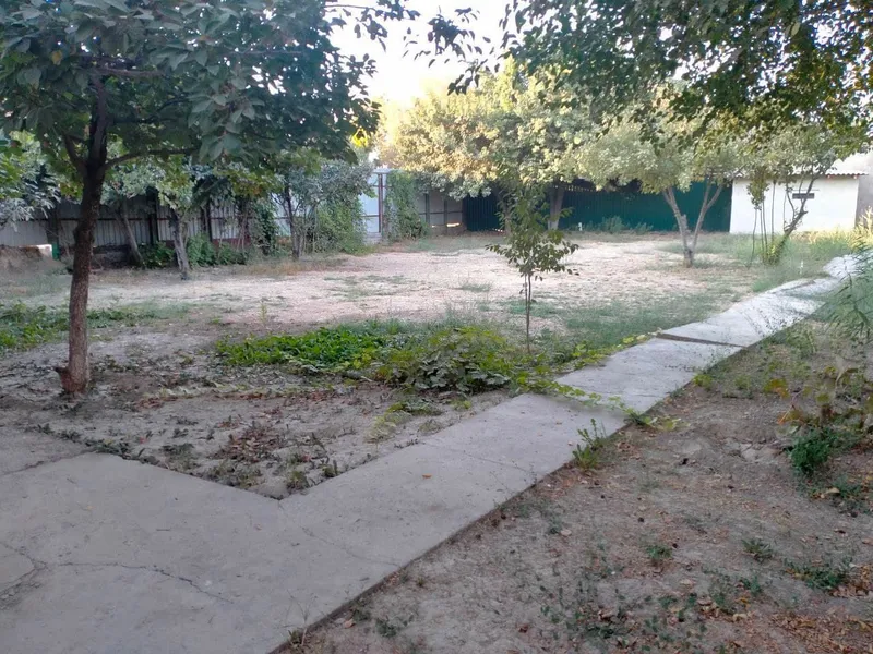 Продается дачный участок в пригороде 4 Продается дачный участок в пригороде 4