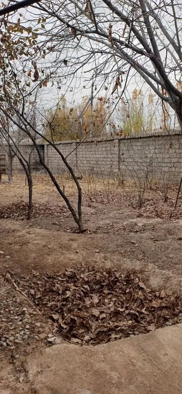 Продаю свою землю — фото 2