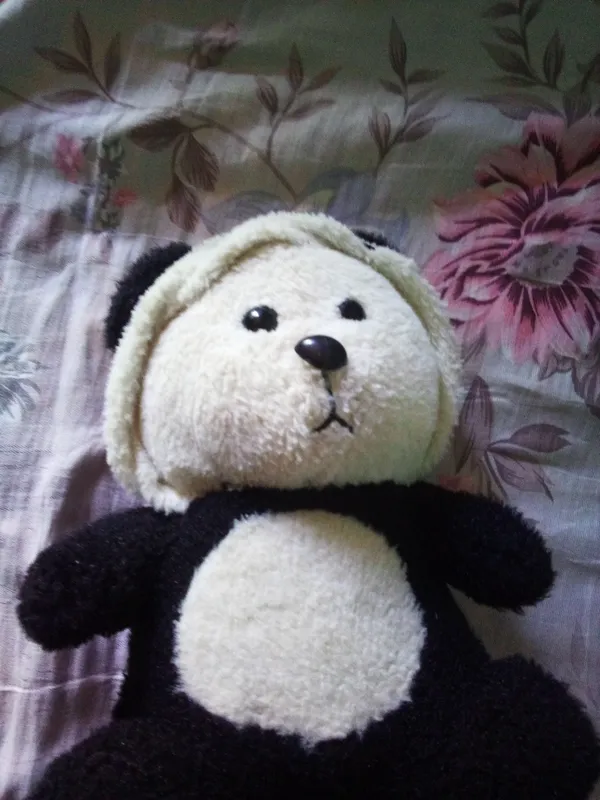 ayiqcha bolalar uchun