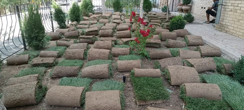 archa kesish dorilash 5