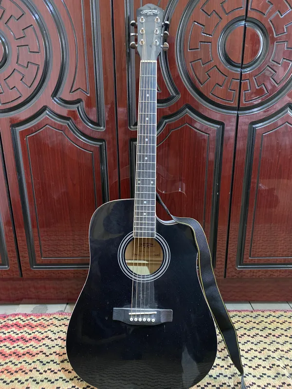 Professional Guitar 1 Professional Guitar 1