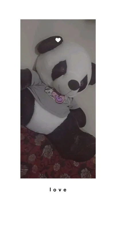 panda sotiladi