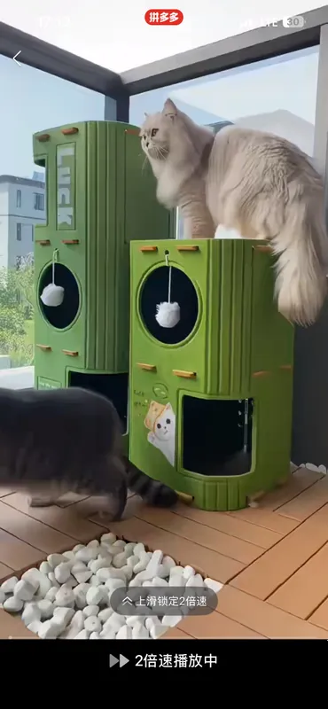 Домик для кошки 1