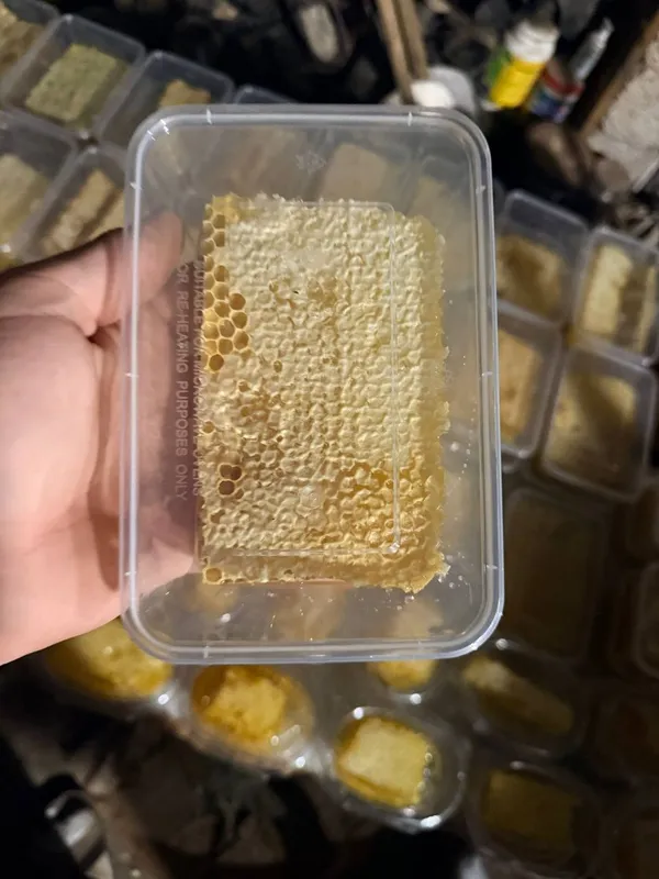 Продаётся сотовый мёд 4 Продаётся сотовый мёд 4