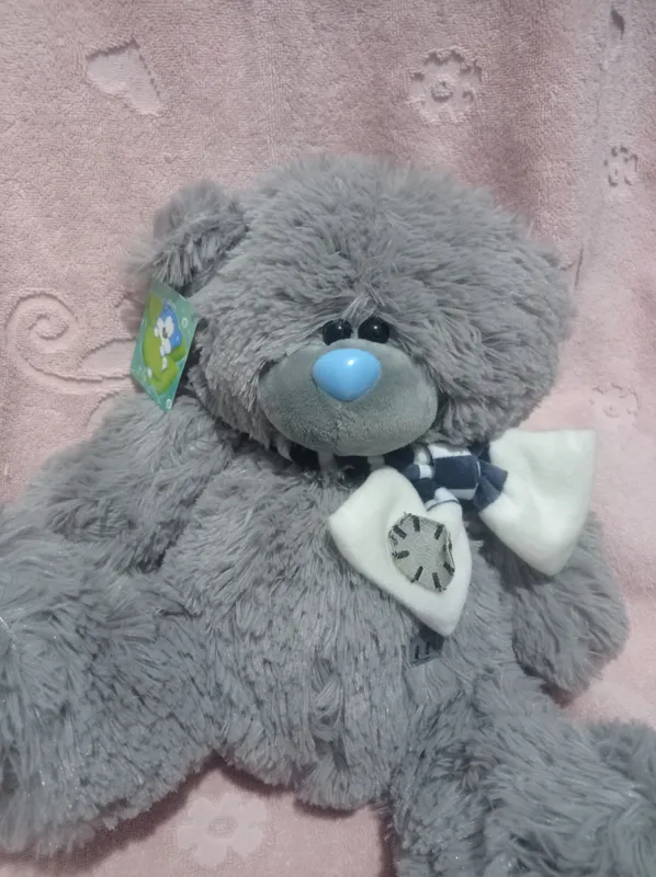 Teddy ayiqchasi sotiladi