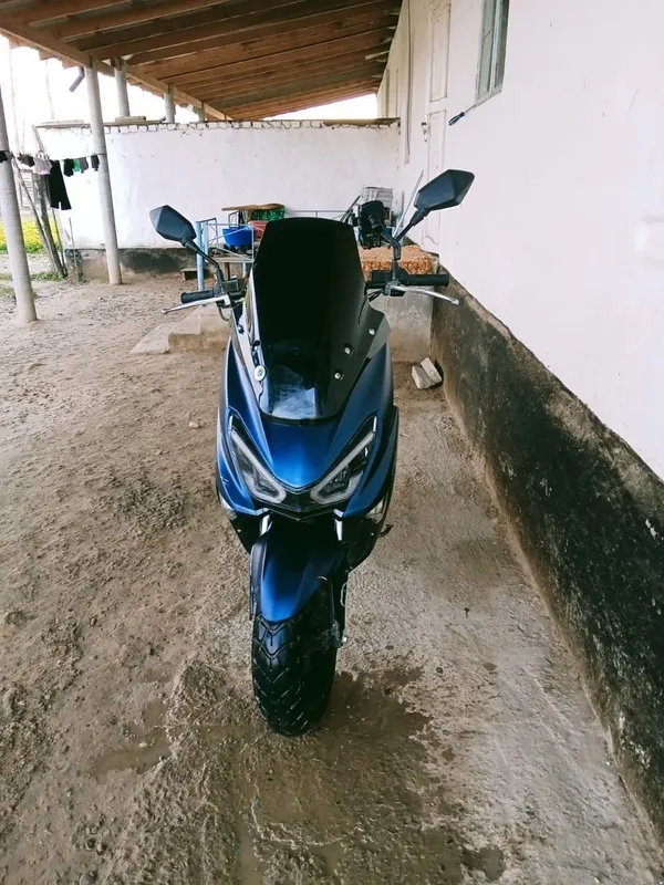 GST tiger skuter 2