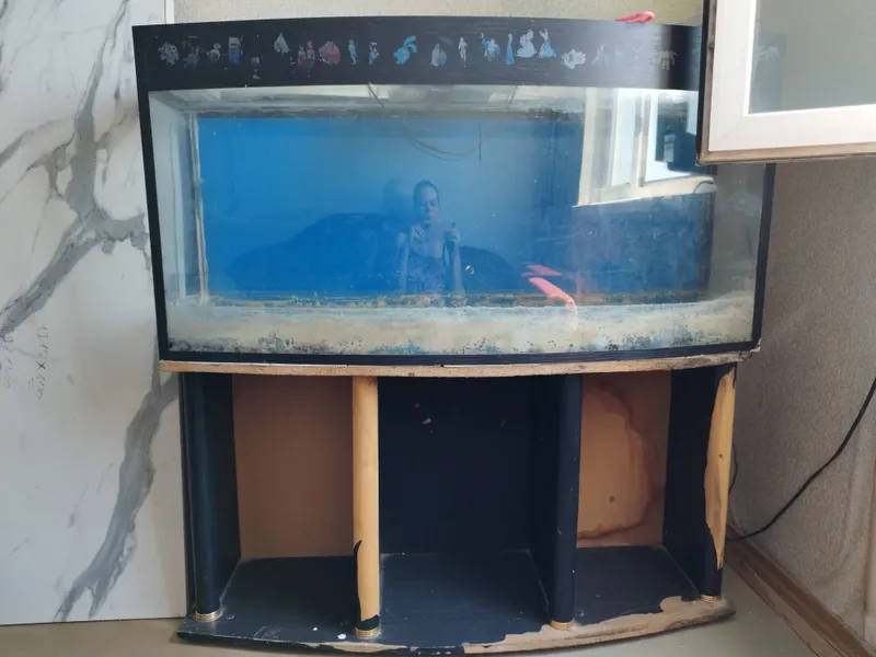 SHOSHILINCH Panoramali akvarium, tumba, filtr SHOSHILINCH Panoramali akvarium, tumba, filtr
