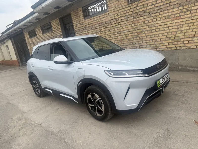 yuan up byd 2025 2 yuan up byd 2025 2