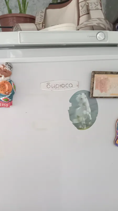 берюза 2