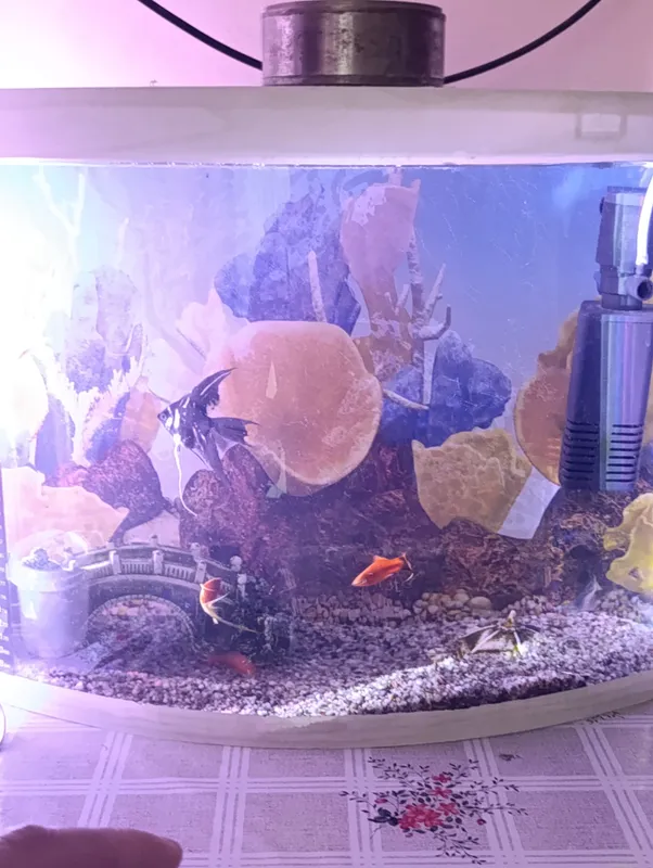 Akvarium 3