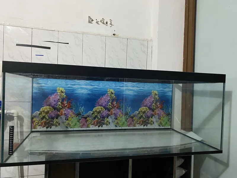 akvarium 320- litr