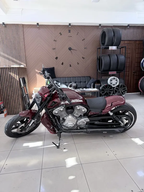 Harley-Davidson V-Rod Muscle 2015 3