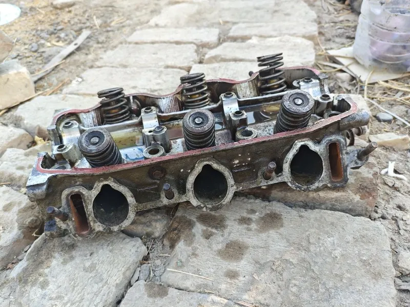 Galofka lada larguy 1 Galofka lada larguy 1