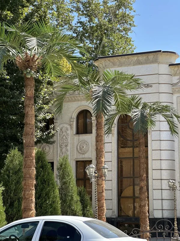 Farg‘onada | Villa/restoran uchun lux suniiy palma 3m–8m — -30% — фото 4