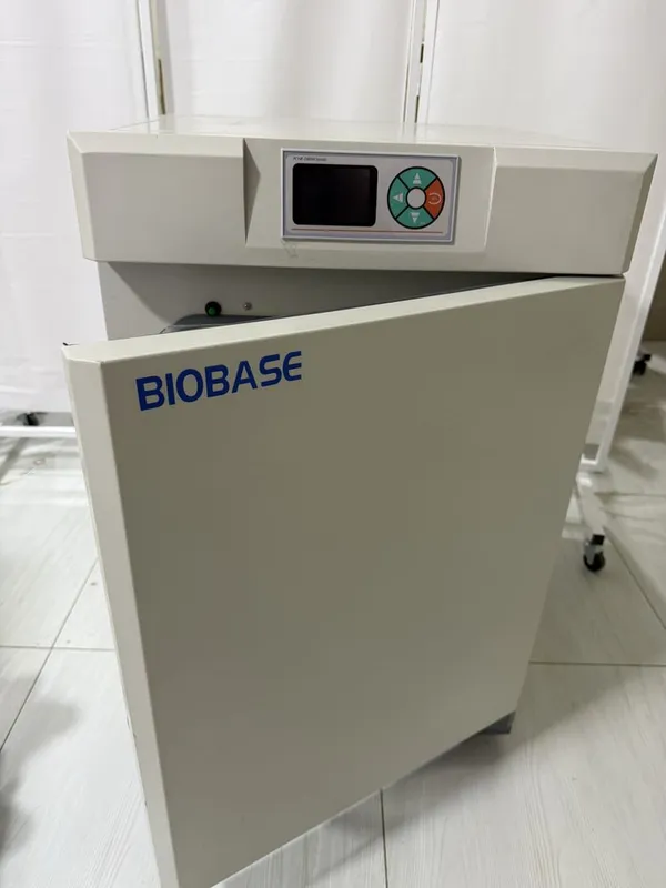 Термостат медицинский BIOBASE 80 2 Термостат медицинский BIOBASE 80 2