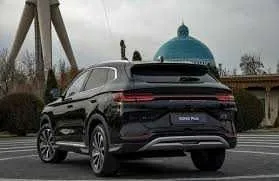 Byd champion naqt va halol nasiya