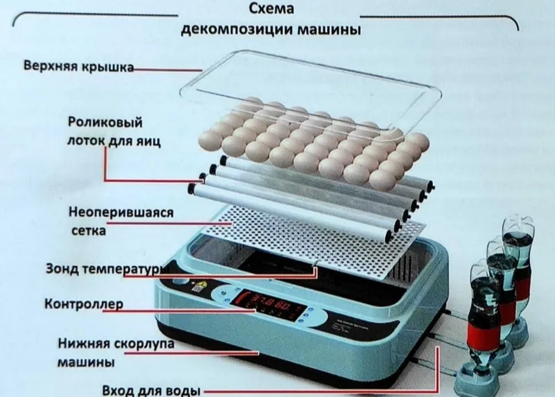 inkubator 4 inkubator 4