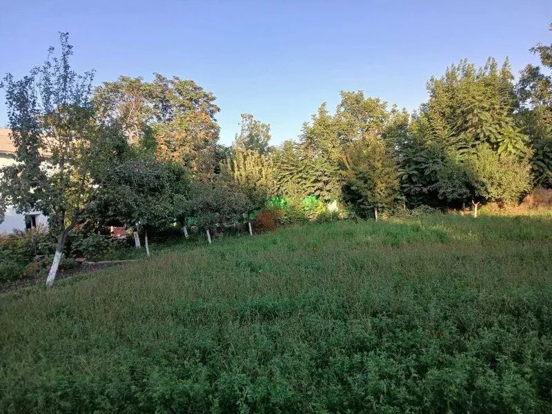 Диккат уй сотилади — фото 9