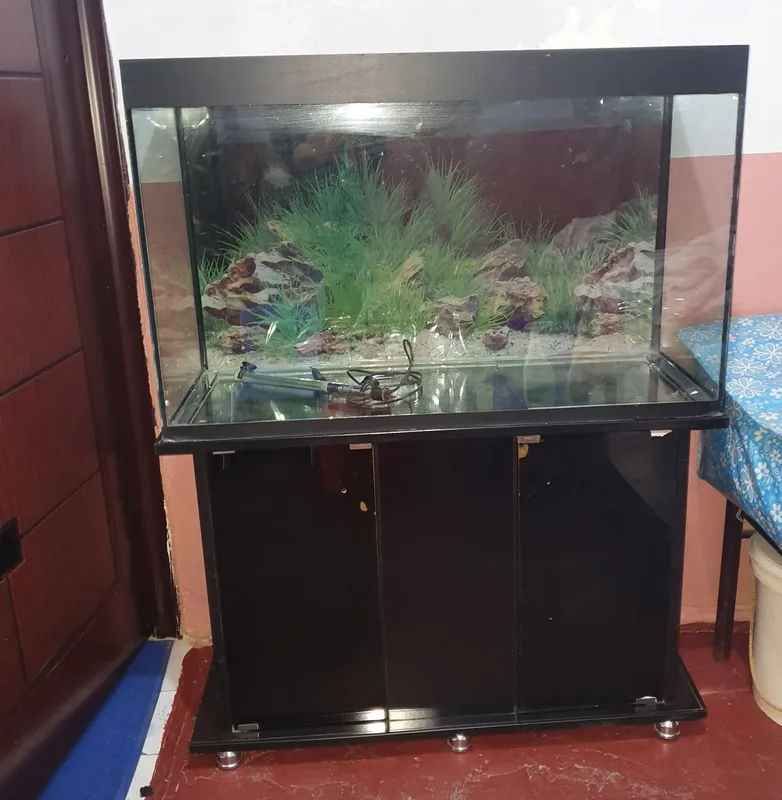 Akvarium sotiladi. Algoritm 31 kvartalda. 3 Akvarium sotiladi. Algoritm 31 kvartalda. 3