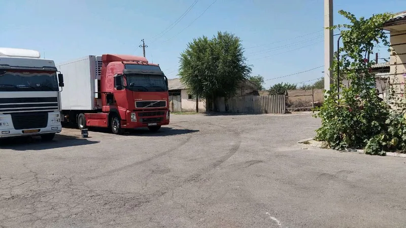 База в Янгиюле — фото 1