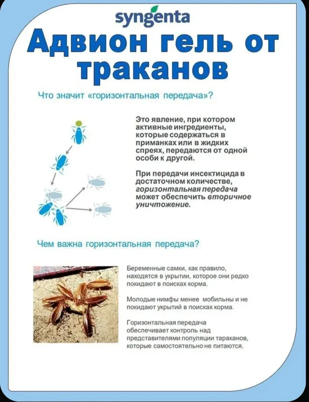 Advion Gel USA от тараканов без запаха — фото 1