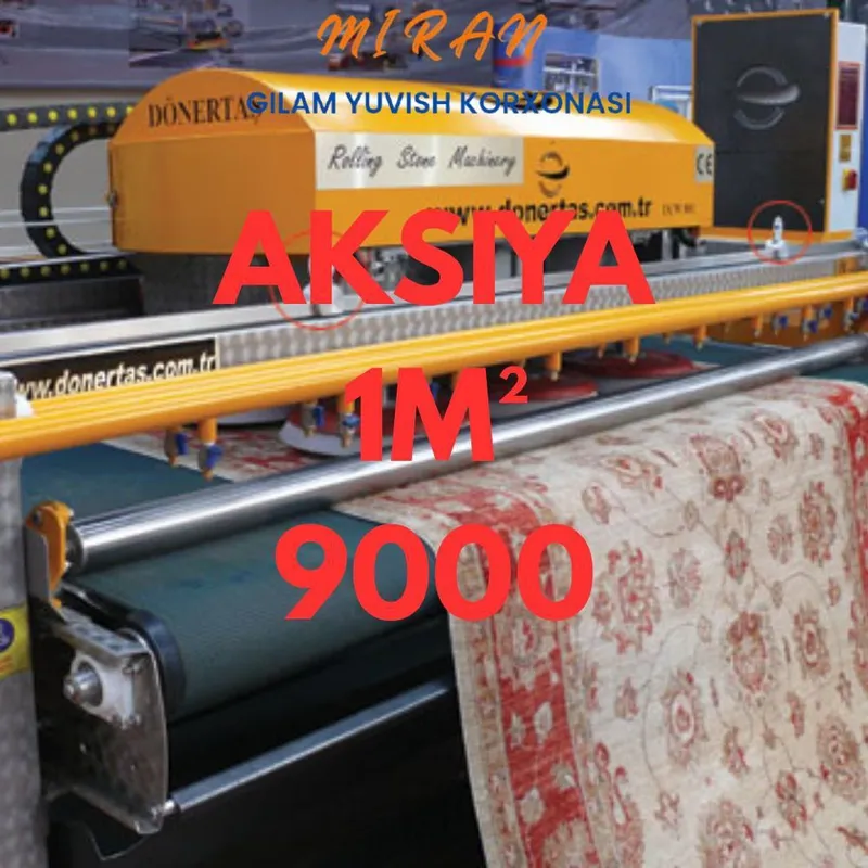 Gilam yuvish 9000