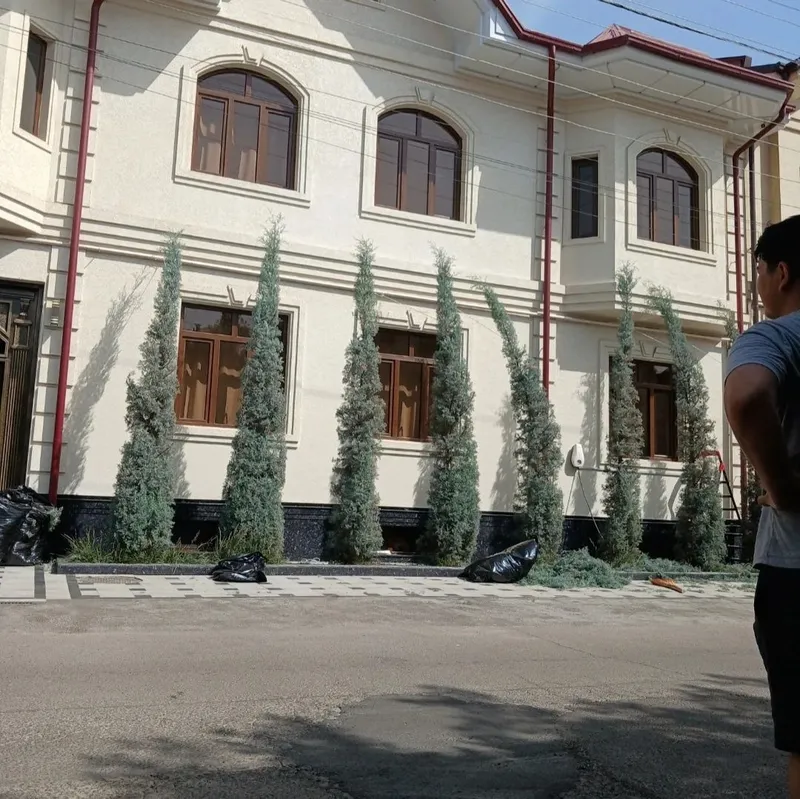 Archa kesish xizmati 1 Archa kesish xizmati 1
