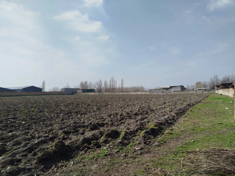 Срочно продается земля 1,38 гектар в Ортасарой за сотку 5500$ — фото 3