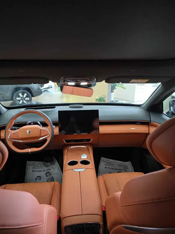 Minimal foizlar bilan kredit va muddatli to'lovga Deepal S7&S07 Hybrid — фото 2