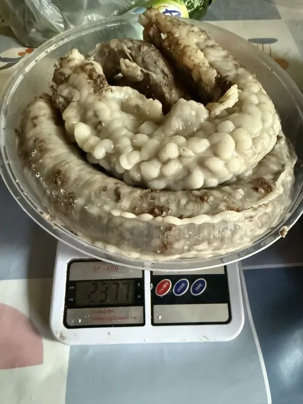 Kalla pocha, tirik qo’ylar 2