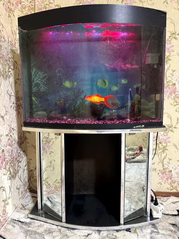 AKVARIUM 150L sotiladi 6