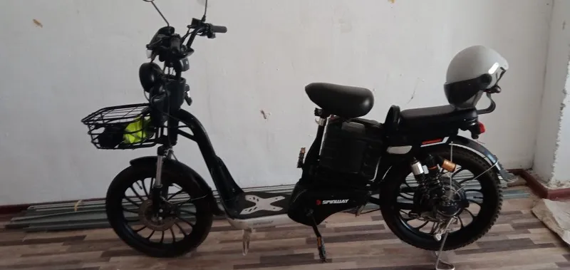 Elekro velosiped 1 Elekro velosiped 1