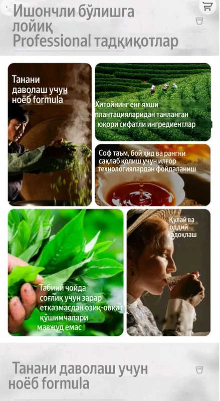 Чай для похудения и омоложения. Чой для похудения и омоложения 4 Чай для похудения и омоложения. Чой для похудения и омоложения 4