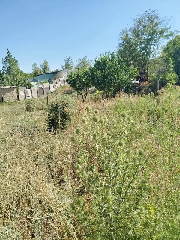 hovli 9 sotik 2 hovli 9 sotik 2