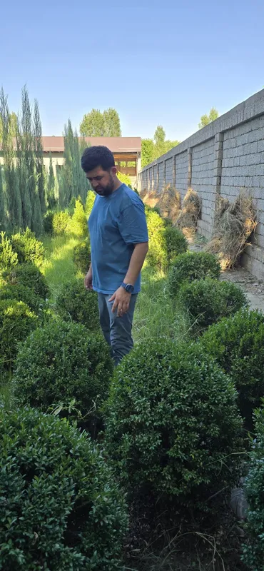 Archalar sotuda italya va mesni bor 4