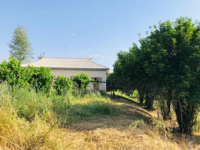 HOVLI SOTILADI 24sotix 8xonali yashashga tayyor 2