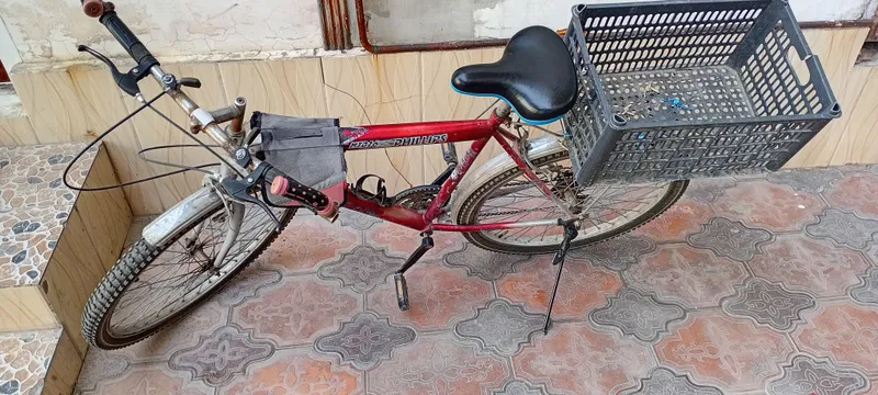 velosiped philips