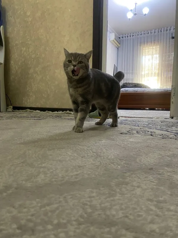 külot holda ayollar porno Qalam bilan chizilgan porno rasmlar