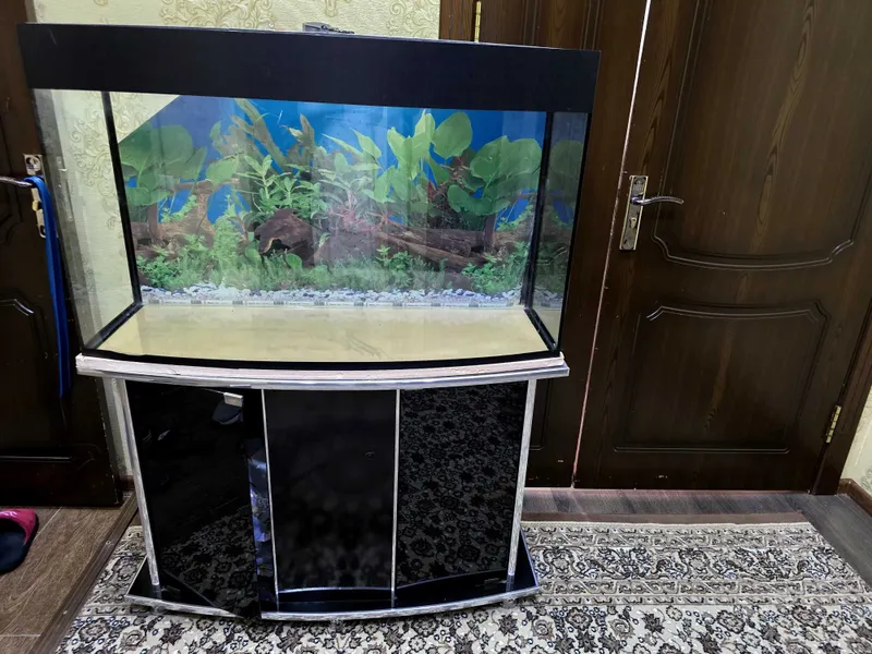 Akvarium sotiladi Akvarium sotiladi