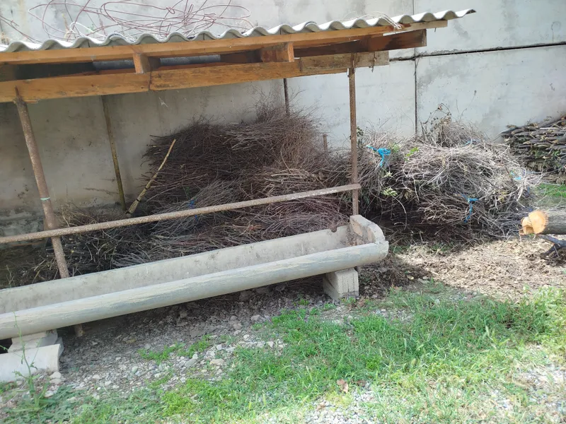 Quruq bogʻlangan oʻtin 100ta va Yirik oʻtinlar — фото 2