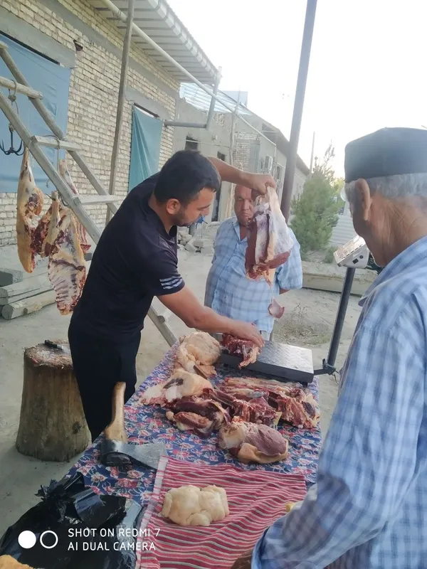 Qassob service mol qoy soyish xizmati