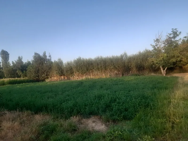 10 сотих ер сотилади — фото 1